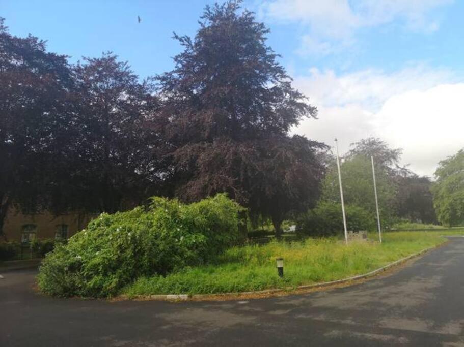 Apartament Cotswold Gem Upper Rissington Zewnętrze zdjęcie