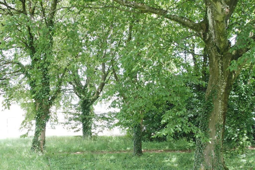 Apartament Cotswold Gem Upper Rissington Zewnętrze zdjęcie